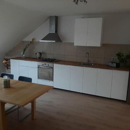 Apartman Dvorak 194 Pod Svatou Horou Příbram Exterior foto