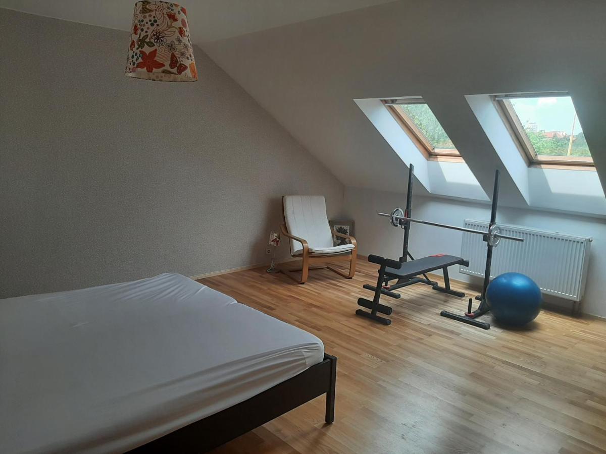 Apartman Dvorak 194 Pod Svatou Horou Příbram Exterior foto