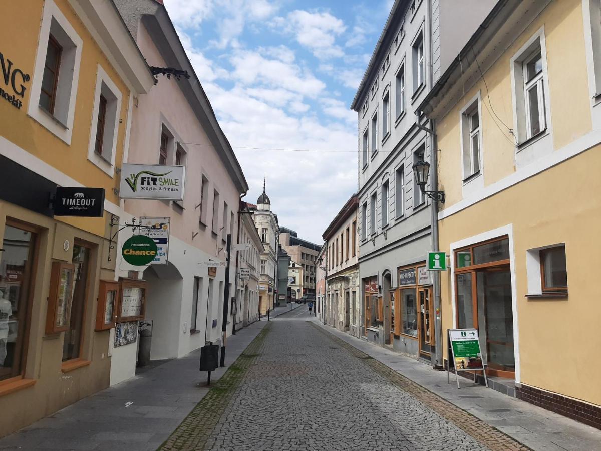 Apartman Dvorak 194 Pod Svatou Horou Příbram Exterior foto