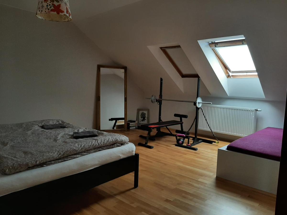 Apartman Dvorak 194 Pod Svatou Horou Příbram Exterior foto