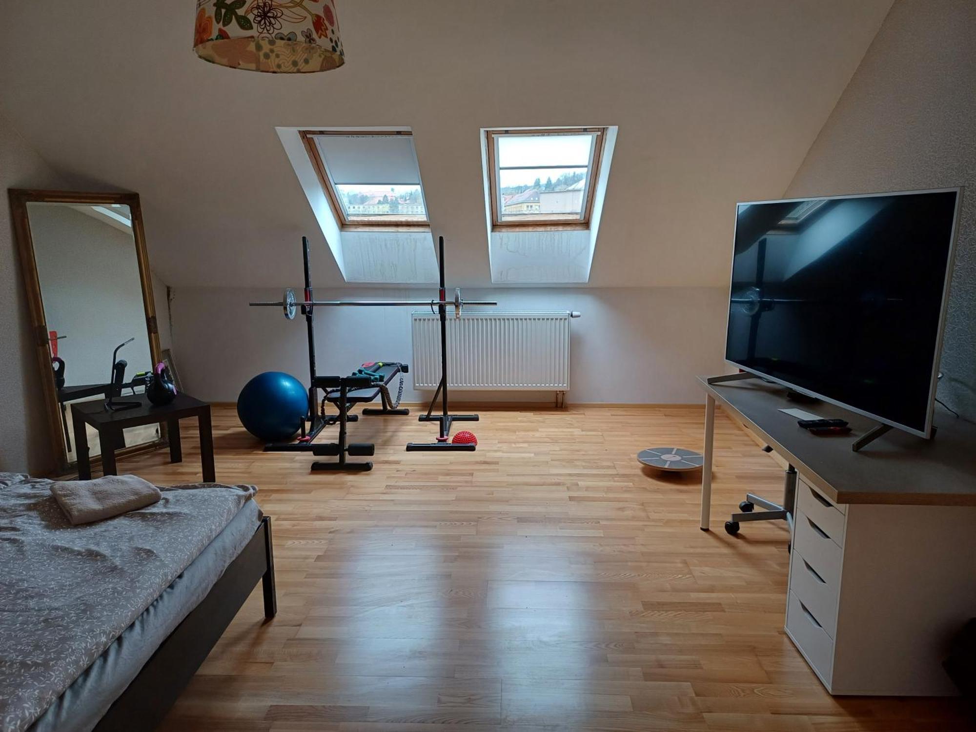 Apartman Dvorak 194 Pod Svatou Horou Příbram Exterior foto